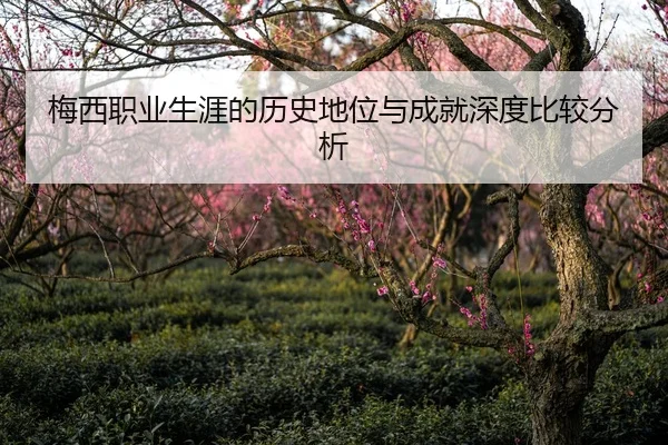 mei-xi-zhi-ye-sheng-ya-de-li-shi-di-wei-yu-cheng-jiu-shen-du-bi-jiao-fen-xi-2-121.jpg