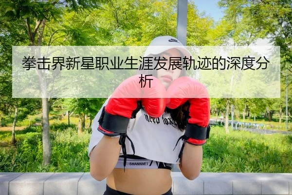拳击界新星职业生涯发展轨迹的深度分析